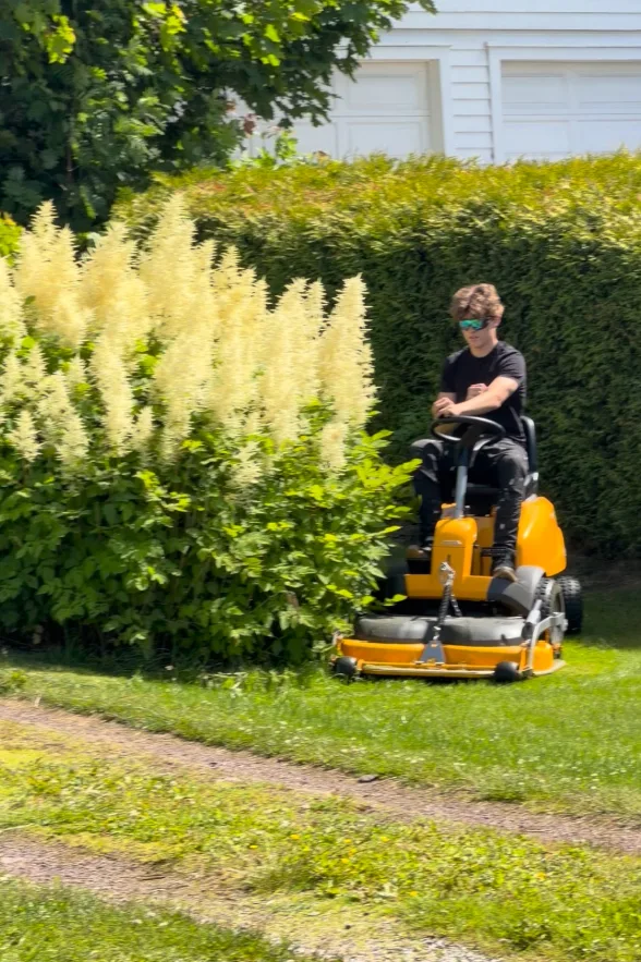 Plenklipp med ridende gressklipper