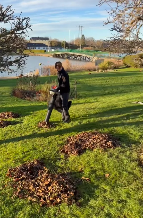 Løvsuging av plen om høsten